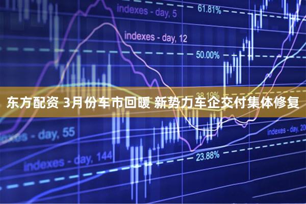 东方配资 3月份车市回暖 新势力车企交付集体修复