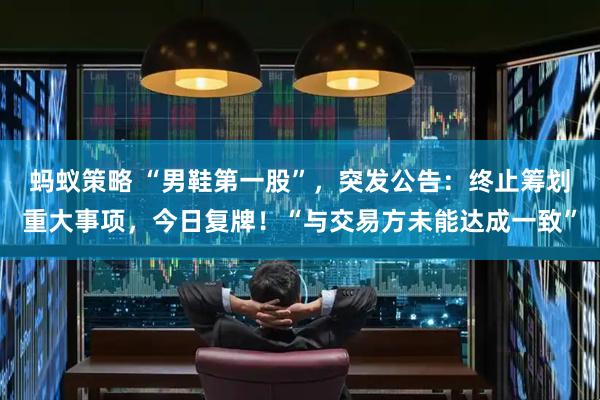 蚂蚁策略 “男鞋第一股”，突发公告：终止筹划重大事项，今日复牌！“与交易方未能达成一致”